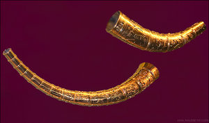 The copies of the Golden horns